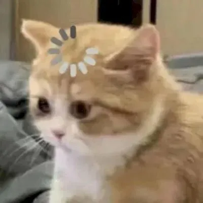 100+ ảnh con mèo meme hài hước nhất cho cuộc trò chuyện · ảnh 3