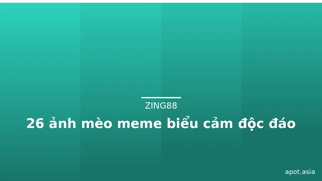 26 ảnh mèo meme biểu cảm độc đáo