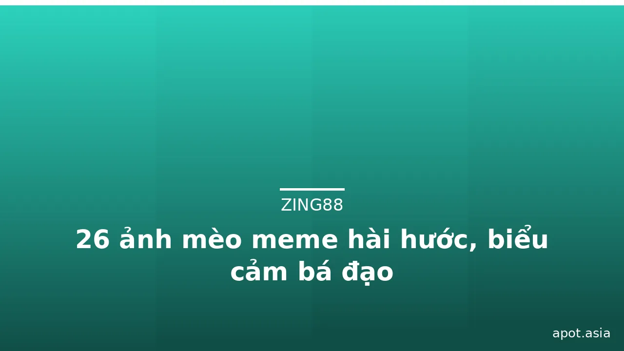 26 ảnh mèo meme hài hước, biểu cảm bá đạo